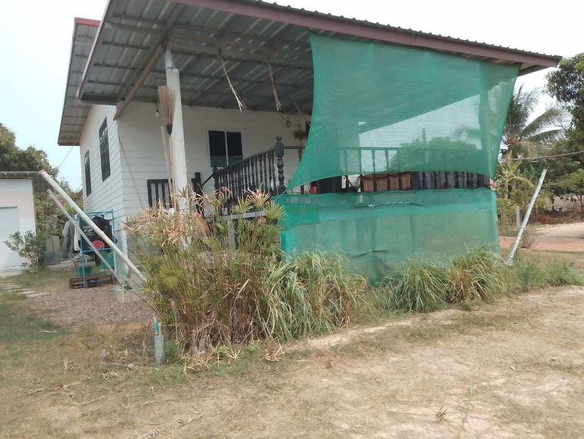 บ้านพร้อมที่ดิน มีโฉนด รูปที่ 6