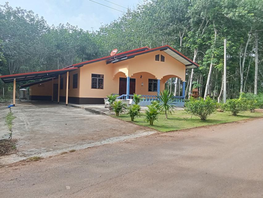บ้านพร้อนที่ดินสวนยาง 1