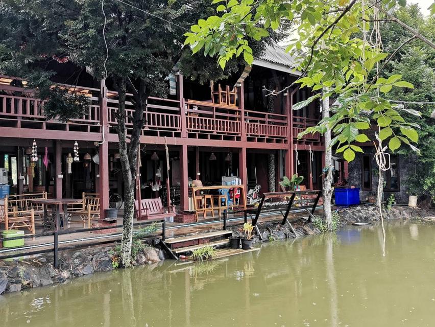 ขายที่ดินพร้อมบ้านเรือนไทย สภาพดี  7-3-70 ไร่ ใกล้ถนน 331  ต.หมอนนาง อ.พนัสนิคม จ.ชลบุรี 9