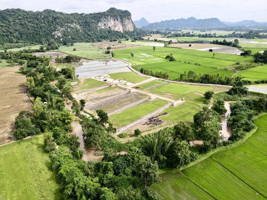 ขายที่ดินวิวเขาติดแม่น้ำ ถนนคอนกรีตใกล้สวิสเซอร์แลนด์เมืองไทยอุทัยธานีเหมาะทำรีสอร์ท 4