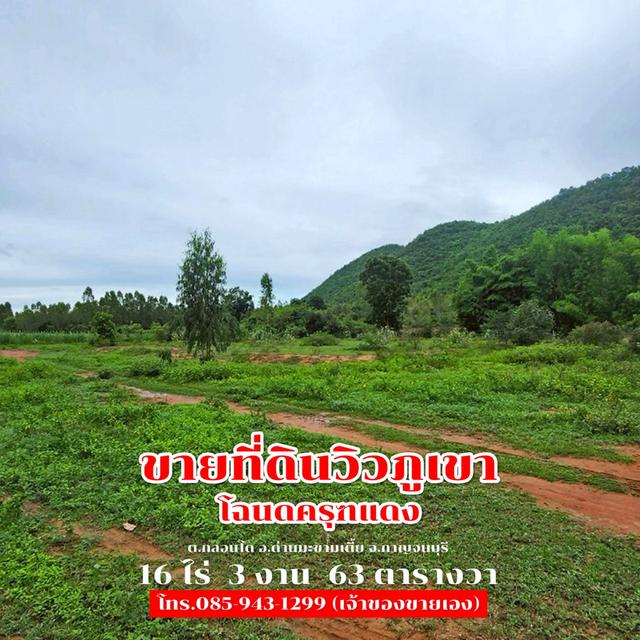 ขายที่ดิน 16 ไร่ 3 งาน 63 ตารางวา ติดถนนลาดยาง วิวภูเขา จ.กาญจนบุรี 30,000,000 บาท 6