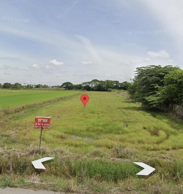 ขายที่ดิน หลังมหาวิทยาลัยราชภัฏพิบูลสงคราม ประตู 3 จังหวัดพิษณุโลก 2