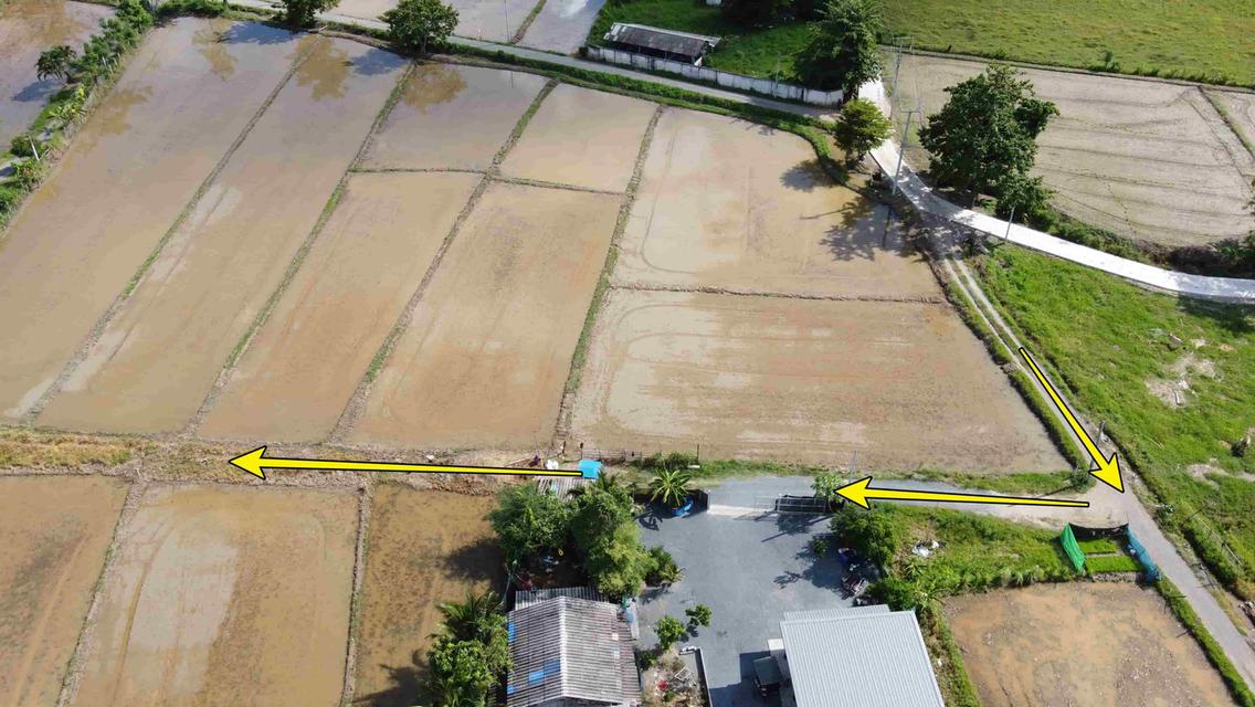 ที่ดิน 100 ตร.ว. (วิวดอย ใกล้แนวถนตัดใหม่ไปวงแหวนรอบสอง 600 เมตร) 4