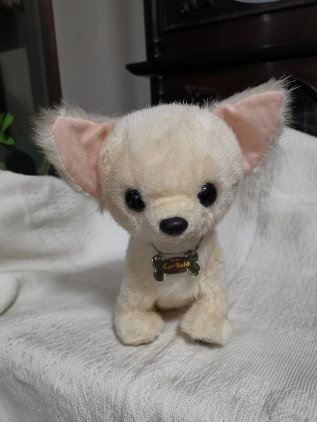 cute dog Chihuahua doll