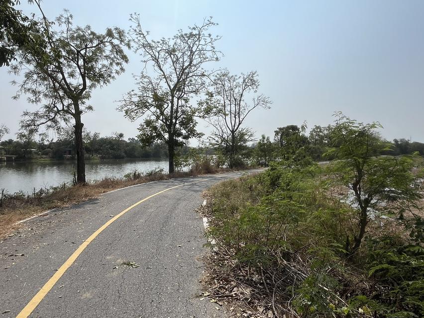 ✨ขายที่นา ทำเลทอง 10 ไร่ ติดถนนใหญ่ + คลองชลประทาน – ต.ย่านยาว อ.สามชุก จ.สุพรรณบุรี✨ 4