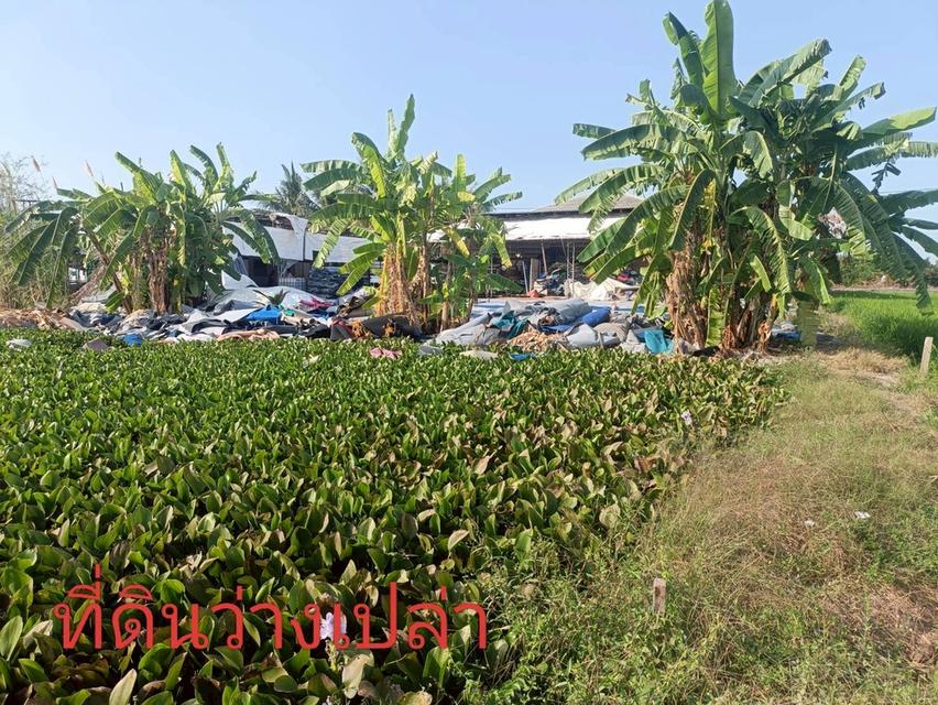 โฮมออฟฟิศ โกดัง พร้อมบ้านพักคนงาน เนื้อที่ 2 ไร่ ถนนเลียบคลองหลุมลี ตำบลบ้านใหม่ อำเภอบางใหญ่ จังหวัดนนทบุรี 14