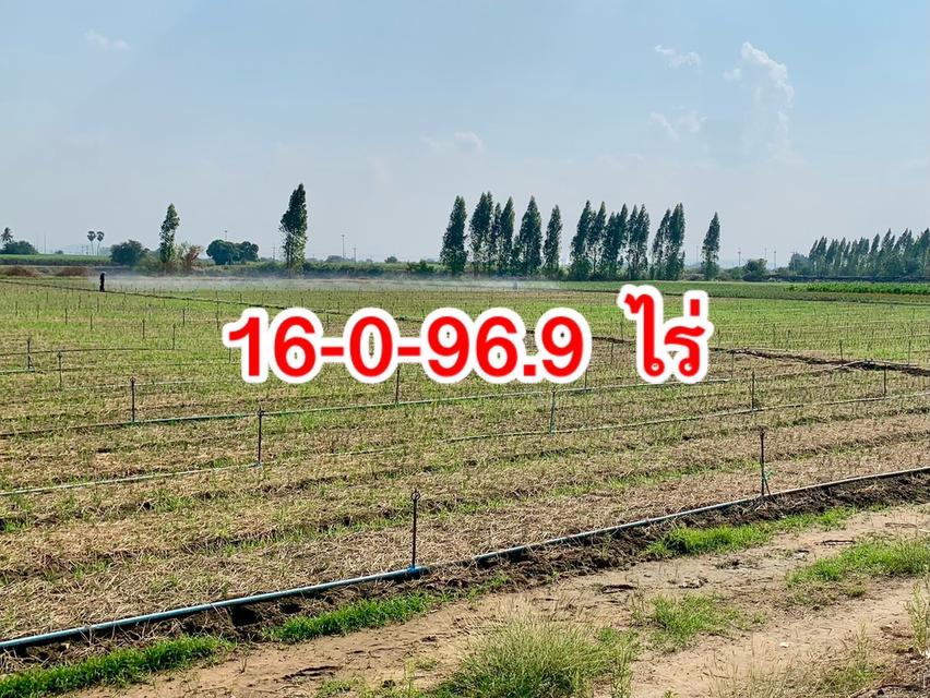 ขายที่ดินสวย2แปลง ทำเลดี ติดถนนสาธารณะ มีให้เลือก10ไร่กับ16ไร่ เหมาะทำเกษตร,ลงทุน,ทำจัดสรร 6