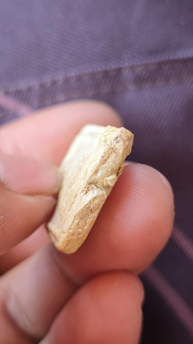 พระสมเด็จพิมพ์ 7 ชั้นหูติ่ง หลวงปู่ภูวัดอินทร์ รูปที่ 6