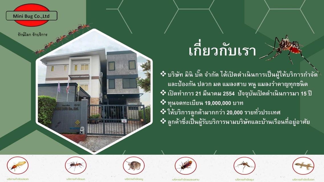 บริการจำกัดปลวก มด หนู แมลงสาบ ยุง  ตัวเรือด