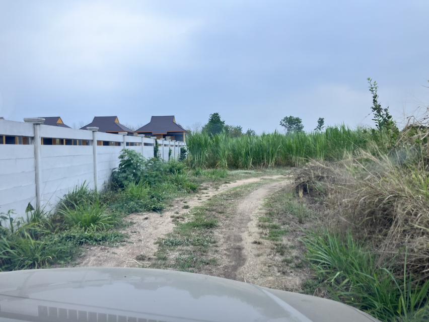 ที่ดิน 4 แปลง รวม 36 ไร่ 2 งาน อ.สวผึ้ง จ.ราชบุรี 5
