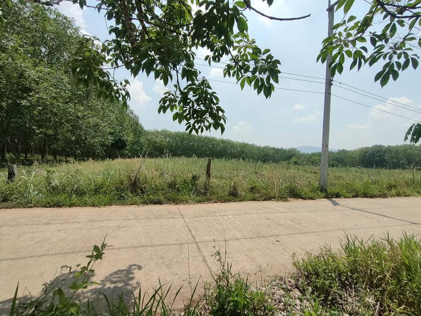 ต้องการแบ่งขาย 5 ไร่คะ ไร่ละ 350,000 เป็นที่มีโฉนดอยู่ด้านหลัง อบต. ห่างจาก อบต.ปลาบ่า 500 เมตร มีน้ำประปา และไฟฟ้า ถนนคอนกรีต ค่าโอนคนละครึ่ง ด้า 3