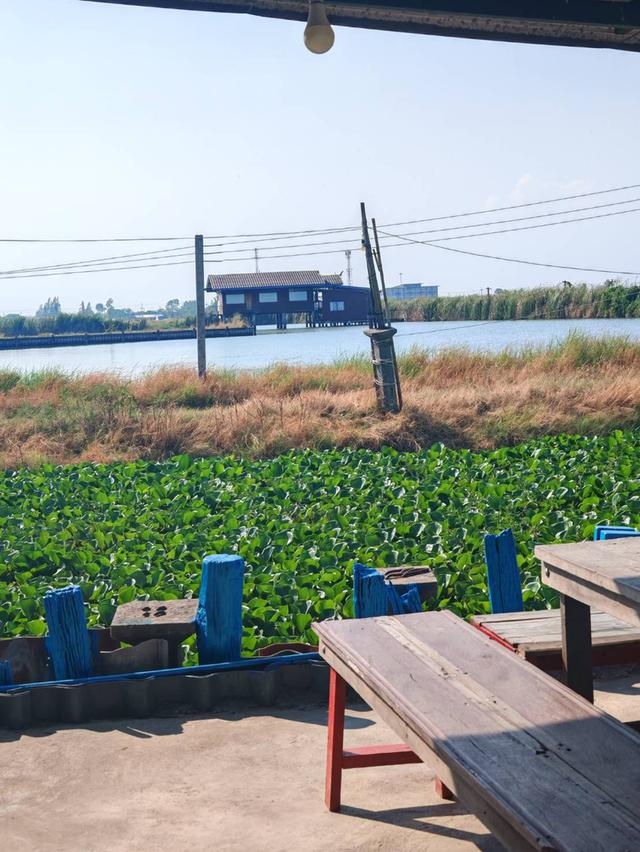 ที่ดินแปลงสวย ต.บางบ่อ สมุทรปราการ 9