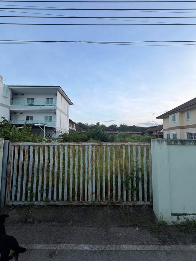 ที่ดินแปลงสวย ตำบลแม่เหียะ อำเภอเมืองเชียงใหม่ จังหวัดเชียงใหม่ 9