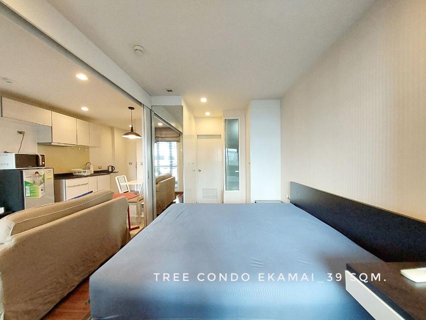 ให้เช่า คอนโด 1 ห้องนอน มีอ่างอาบน้ำ Tree Condo เอกมัย 39 ตรม. ทำเลดี เดินทางสะดวก ใกล้ทางด่วนและ BTS เอกมัย 5