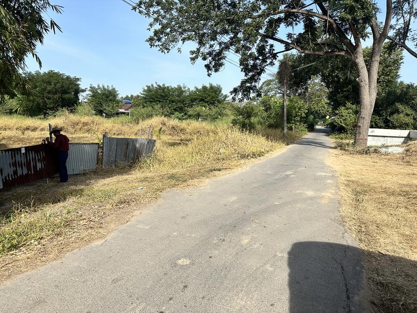 ขายที่ดิน 1 ไร่ (400 ตร.วา) ต.สวนพริก พระนครศรีอยุธยา 8