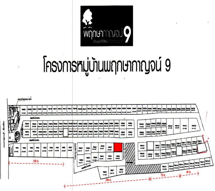 💝 บ้าน ปากแพรก ราคาพิเศษ! 💝 19