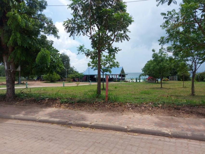 ที่ดินบนเกาะล้าน ที่สวย 4