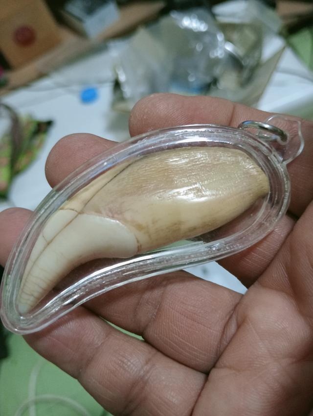 พระเครื่อง ไม่ทราบที่ รูปที่ 3