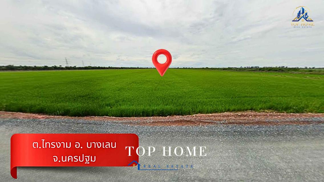 ขายด่วน! ที่ดินแปลงใหญ่ 30 ไร่ บางเลน ติดถนนลาดยาง ทำเลศักยภาพ เหมาะลงทุน 4