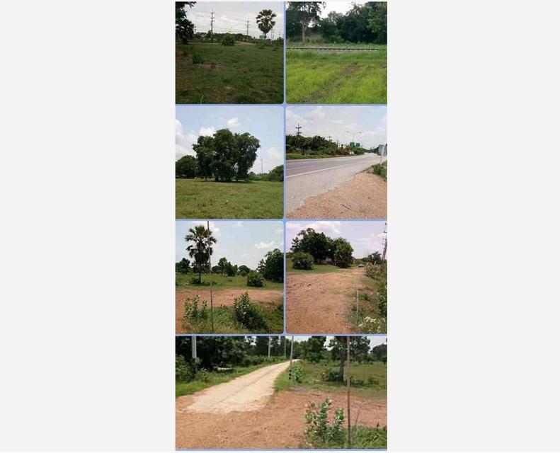 ขายที่ดินติดถนนสุวรรณศร อำเภอวัฒนานคร จังหวัดสระแก้ว 43 ไร่เศษ ทำเลทอง ใกล้ตัวเมืองสระแก้ว ใกล้เขตเศรษฐกิจพิเศษ (เจ้าของขายเอง) 5