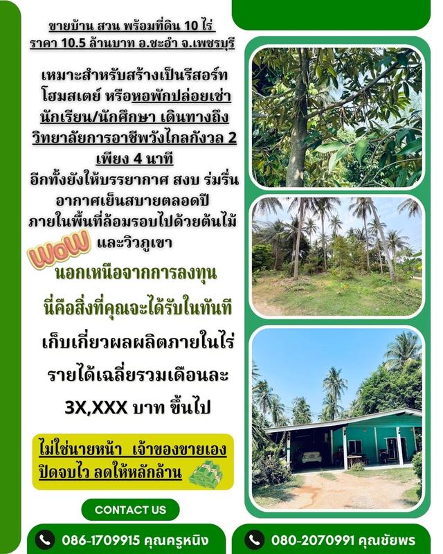 บ้าน สวนผลไม้ และที่ดิน จำนวน10ไร่ 1