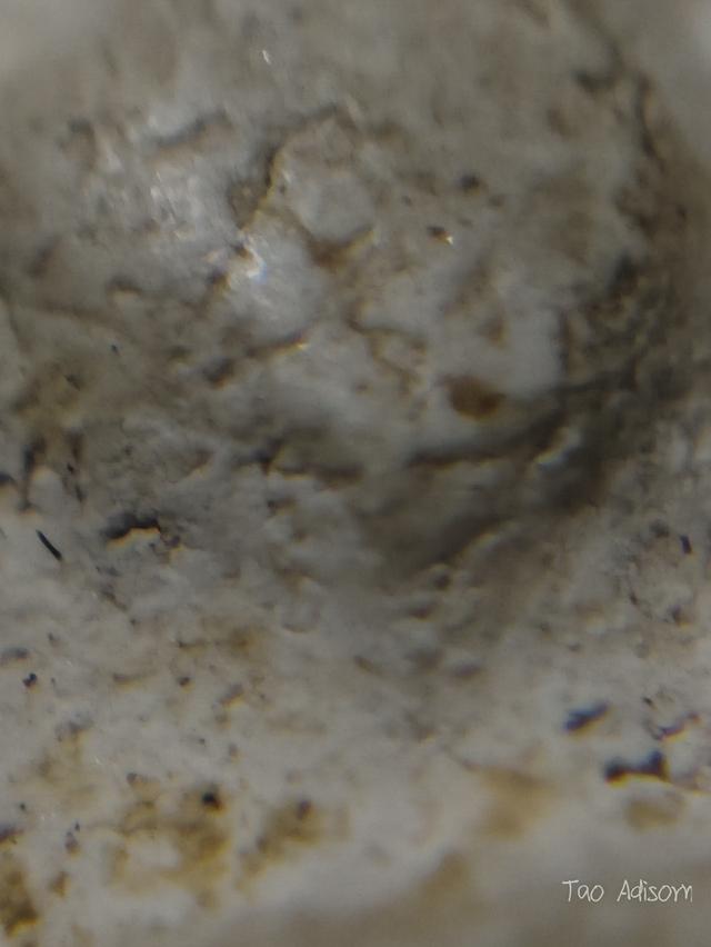 พระสมเด็จวัดระฆังโฆสิตาราม 13