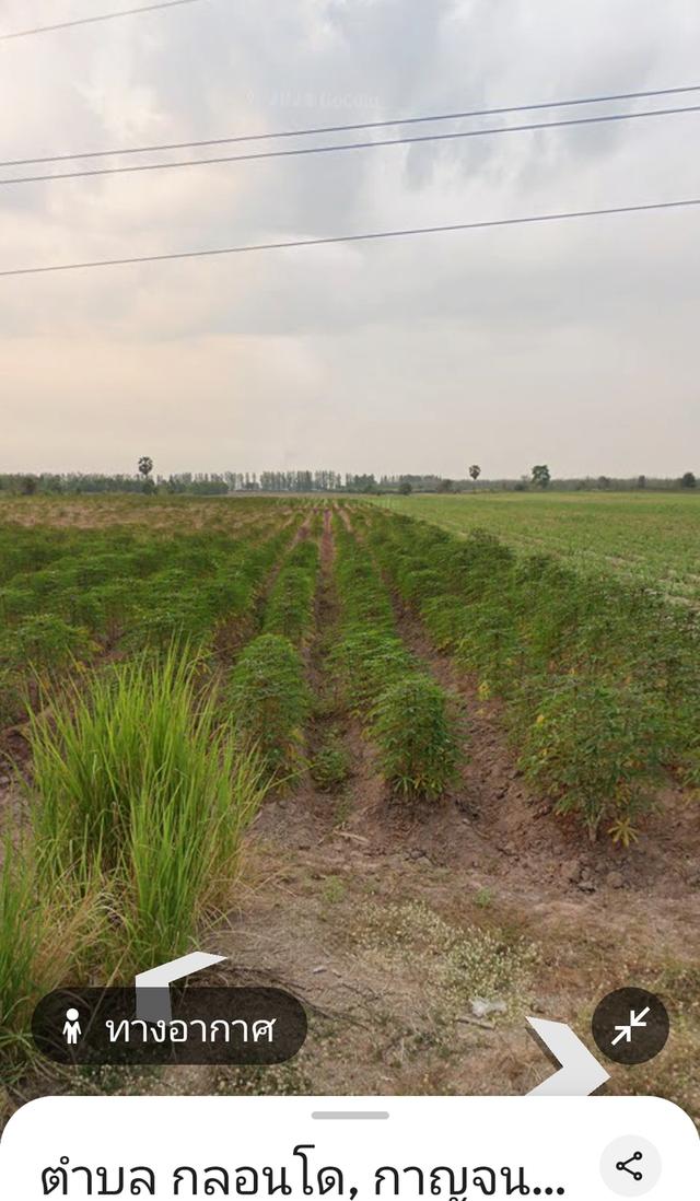 ที่ดินเปล่า ราคาถูก โฉนดไร่ละ153,000฿ 5