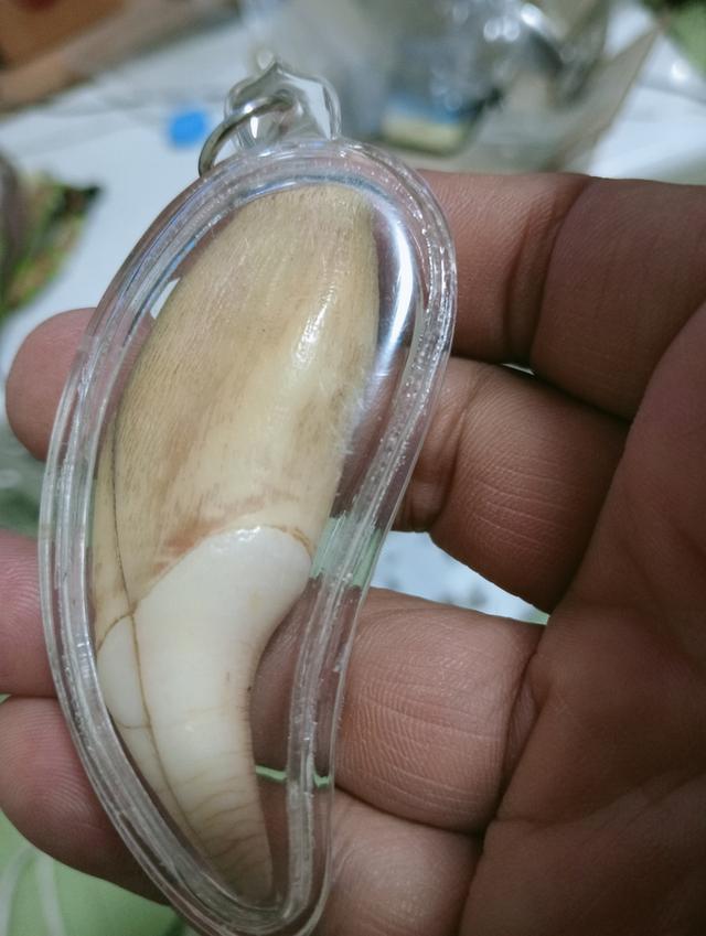 พระเครื่อง ไม่ทราบที่ รูปที่ 10