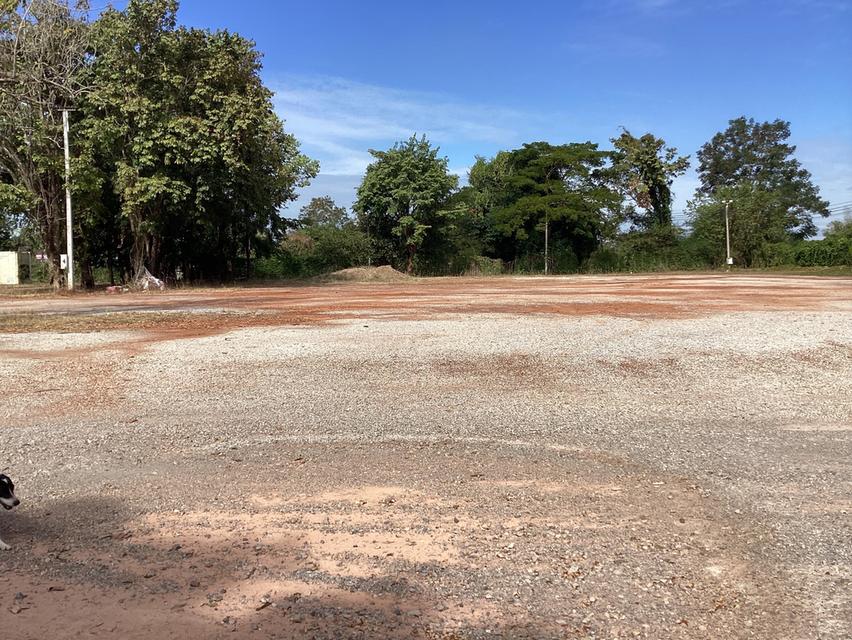 ขายที่ดิน9ไร่หน้า100ม.ติดถนนหลักเพื่อรองรับการเติบโตของเมืองนครพนม 3