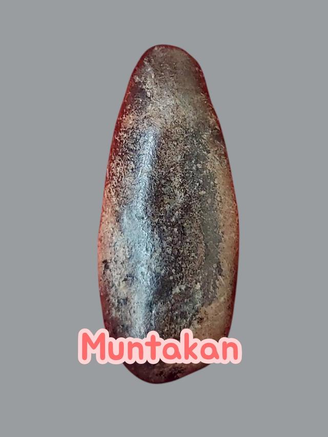 พระนางกำแพงพิมพ์เม็ดมะเคล็ด รูปที่ 3