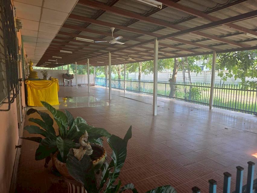 บ้านพร้อมที่ดินทำเลทอง ใกล้เซ็นทรัลพิษณุโลก 1