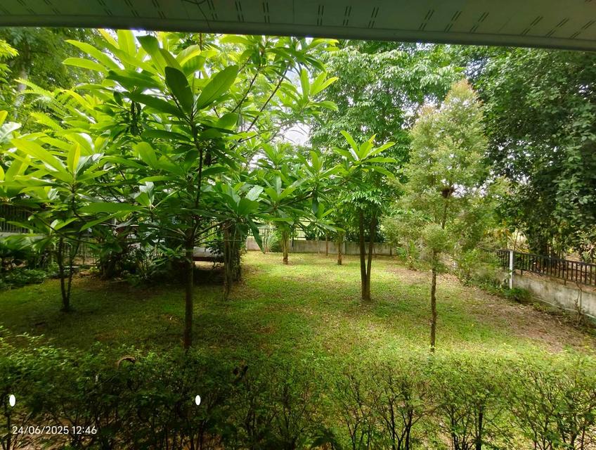 บ้านสวนในฝัน…กลางเมืองสระแก้ว 11