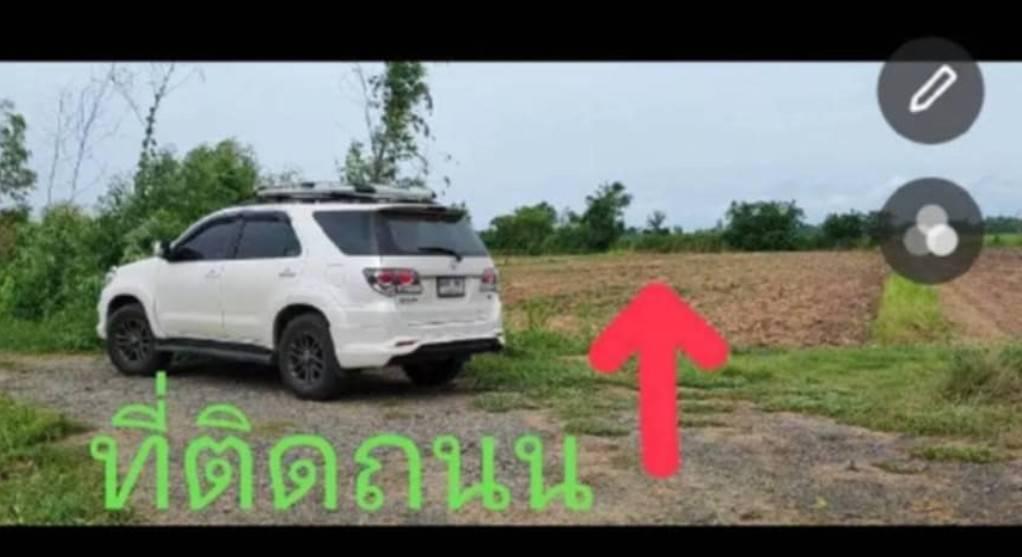 ขายที่ดิน 25 ไร่ ต.เมืองเก่า จ.พิจิตร 3