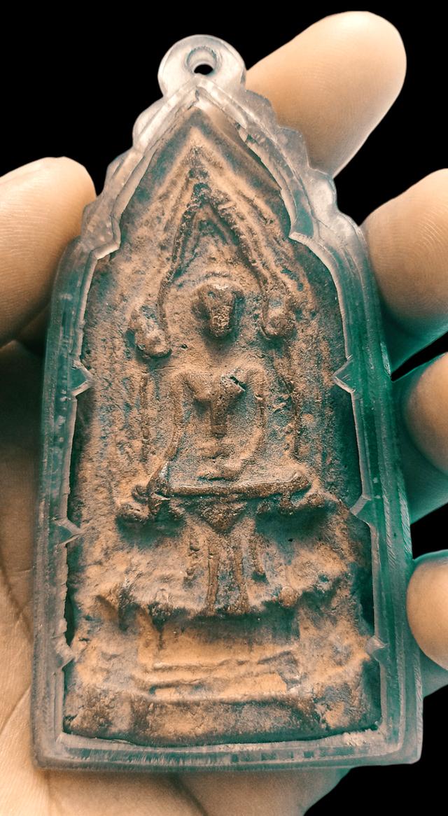 โคนสมอเนื้อดินอยุธยา