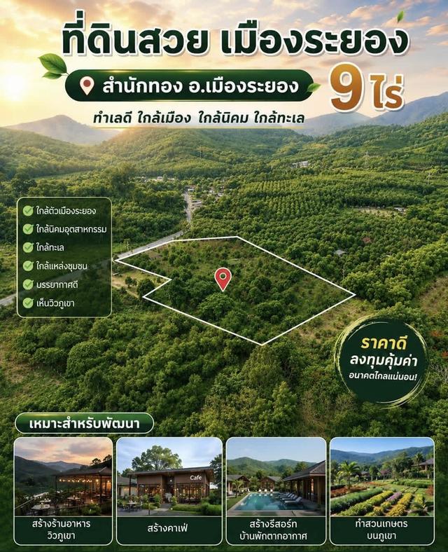 สวนทุเรียน ที่ดินทำเลดี ฮวงจุ้ยมังกรโอบทรัพย์ อ.เมือง จ.ระยอง หรือเหมาะสำหรับทำบ้านจัดสรร รีสอร์ท 1