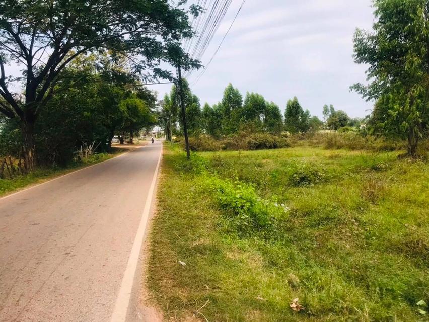 ขายที่ดินทำเลทอง เหมาะทำบ้านจัดสรร โฮมสเตย์ รีสอร์ท ตลาดนัด 6