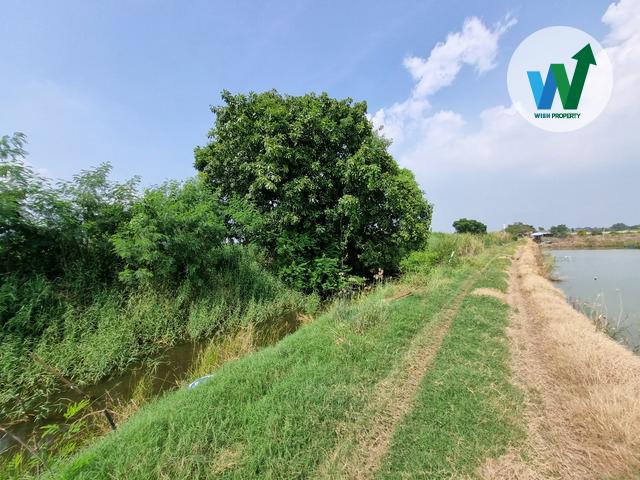 ขายที่ดินในบางปะกง ฉะเชิงเทรา ต.หอมศิล ขนาดพื้นที่ 1 ไร่ 3 งาน 65.8 ตารางวา 11