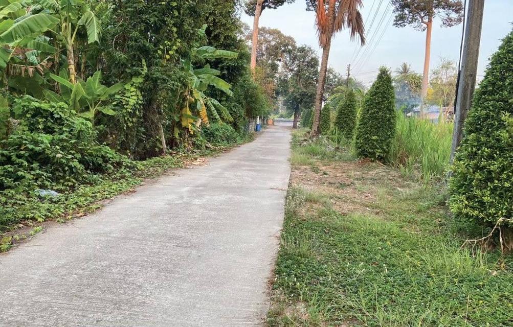 ที่ดิน บ้านพร้อมที่ดิน อ.บ้านลาด จ.เพชรบุรี 10