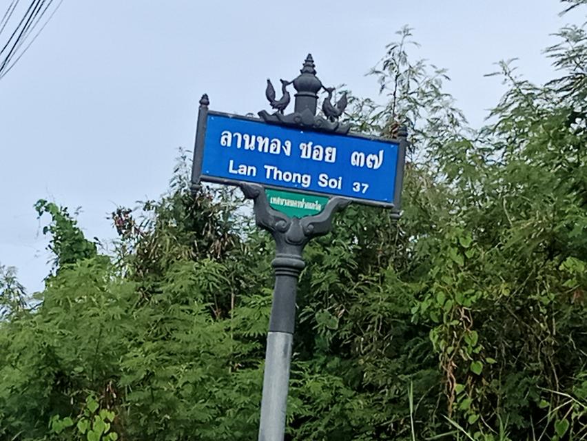 ขายที่ดินจัดสรรน้ำไปถนนทำเลที่ดีมากๆ หมู่บ้านลานทองปากเกร็ดนนทบุรี มีจำนวน 19 แปลงเปิดให้จอง 08 กรกฎาคม 2569 ของดีพรีเมี่ยมหาไม่ได้ที่จะออกมาขายดูด่วน 3