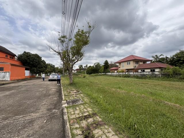 ที่ดิน หมู่บ้านกฤษฎานคร ใกล้ เซ็นทรัล ศาลายา, มหาวิทยาลัยมหิดล ศาลายา, ตลาดสดธนบุรี 2 4455000 THAI BAHT 0 RAI 0 งาน 99 ต 3