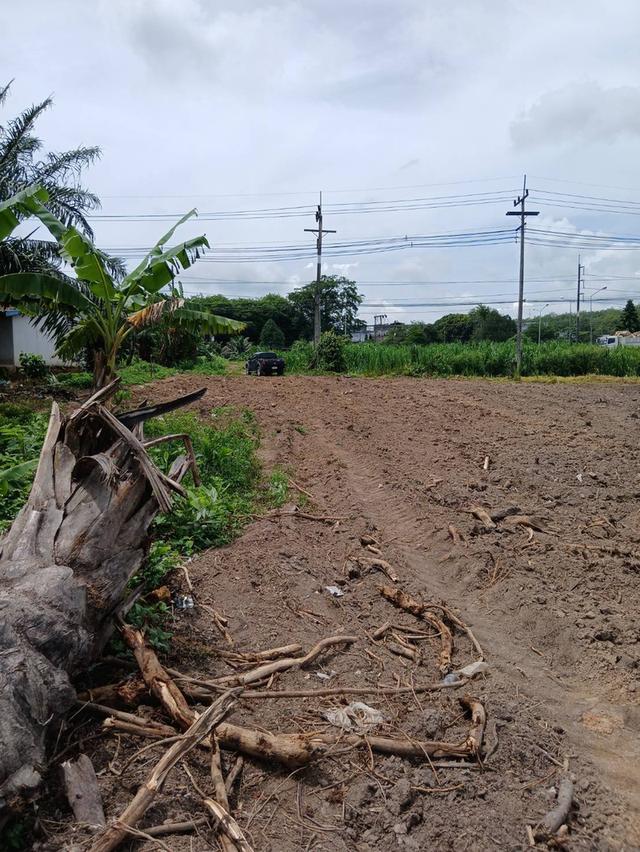 ที่ดินทำเลทอง ติดถนนใหญ่เพชรเกษม 4