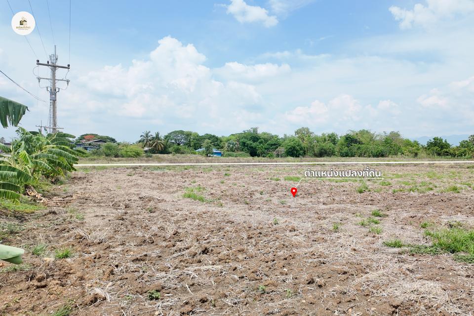 ขายที่ดิน 3 ไร่ 68 ตร.ว. โฉนดครุฑแดง บรรยากาศดี วิวภูเขา ติดถนนหลัก ต.บ้านโคก เพชรบูรณ์ 5