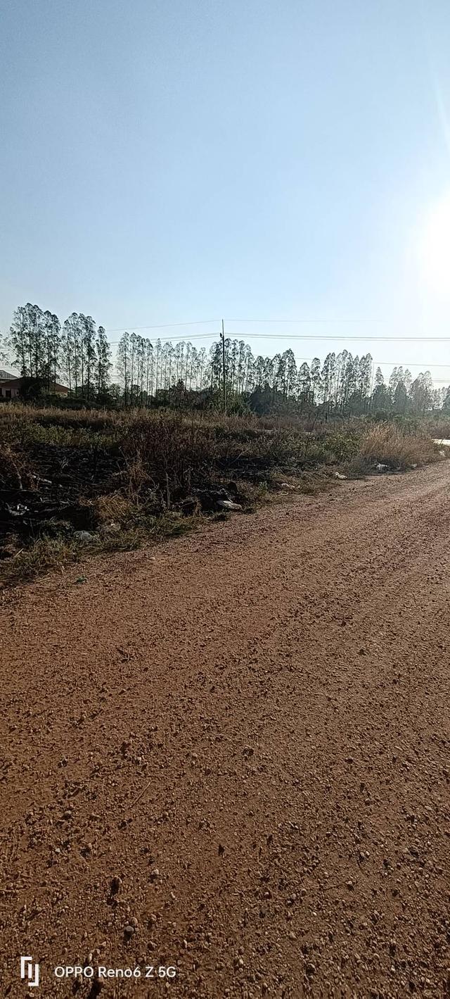 ที่ดินว่างเปล่าติดถนนดำและถนนสาธารณประโยชน์ 5