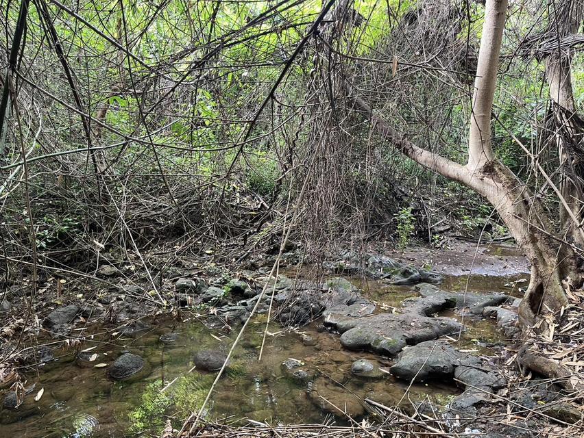 ที่ดินวังดง กาญจนบุรี ติดน้ำ วิวเขา 3