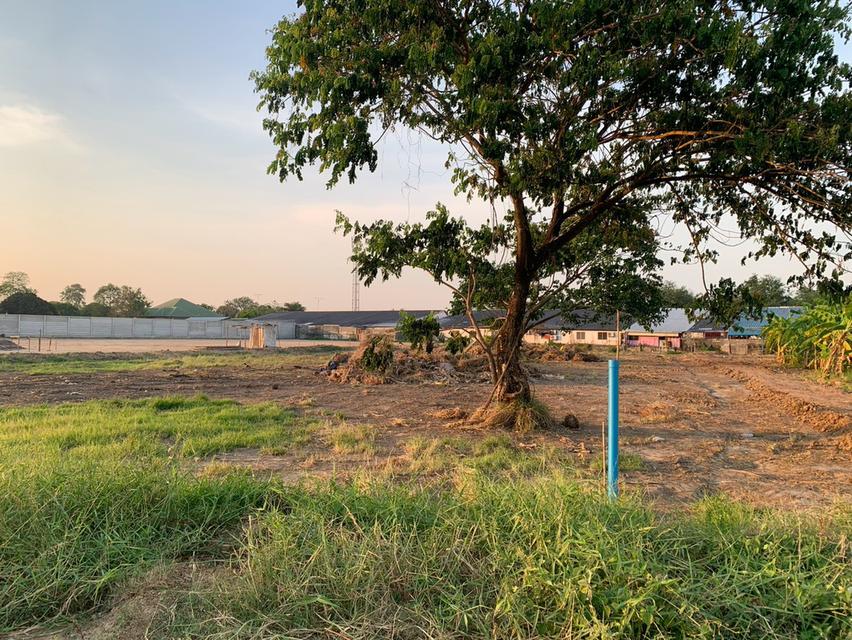 ขายที่ดินเปล่า ทำเลดี ตำบลนครปฐม อำเภอเมืองนครปฐม จังหวัดนครปฐม 3