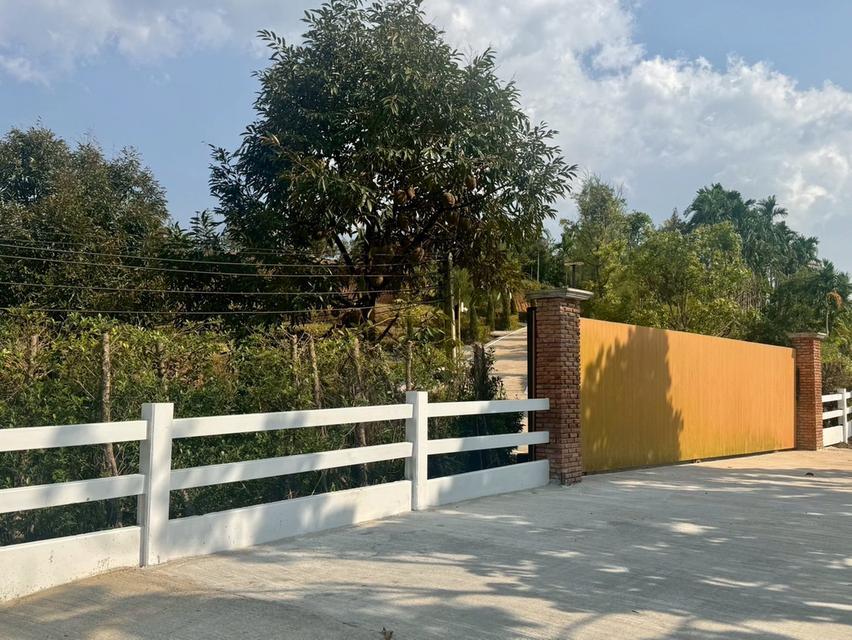 สวนทุเรียนขั้นบันได บ้านตากอากาศบนเขา พร้อมโฉนด! วิวหลักล้าน 11ไร่ 10