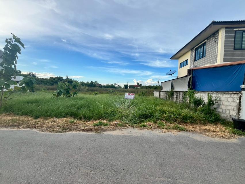 ที่ดินเปล่า ถมแล้ว ใกล้มหาวิทยาลัยธรรมศาสตร์ศูนย์รังสิต ถนนเชียงราก ต.เชียงรากใหญ่ อ.สามโคก จ.ปทุมธานี 3