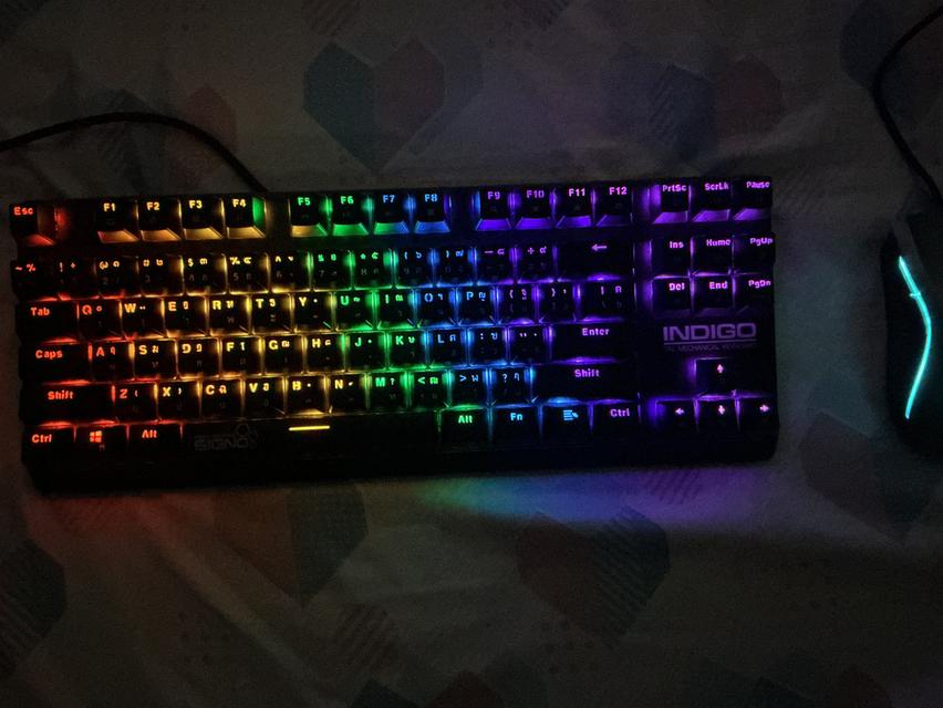 Signo kb718