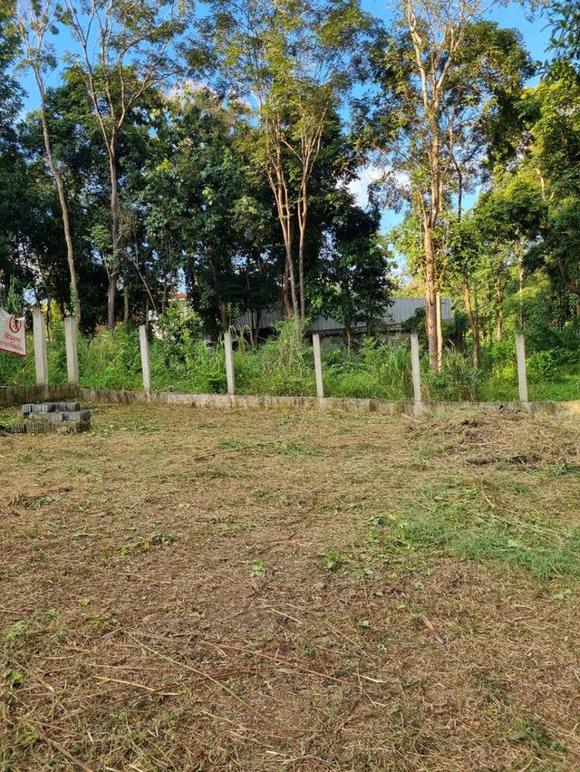 ที่ดินแม่ริม เชียงใหม่ ใกล้แหล่งท่องเที่ยว 2