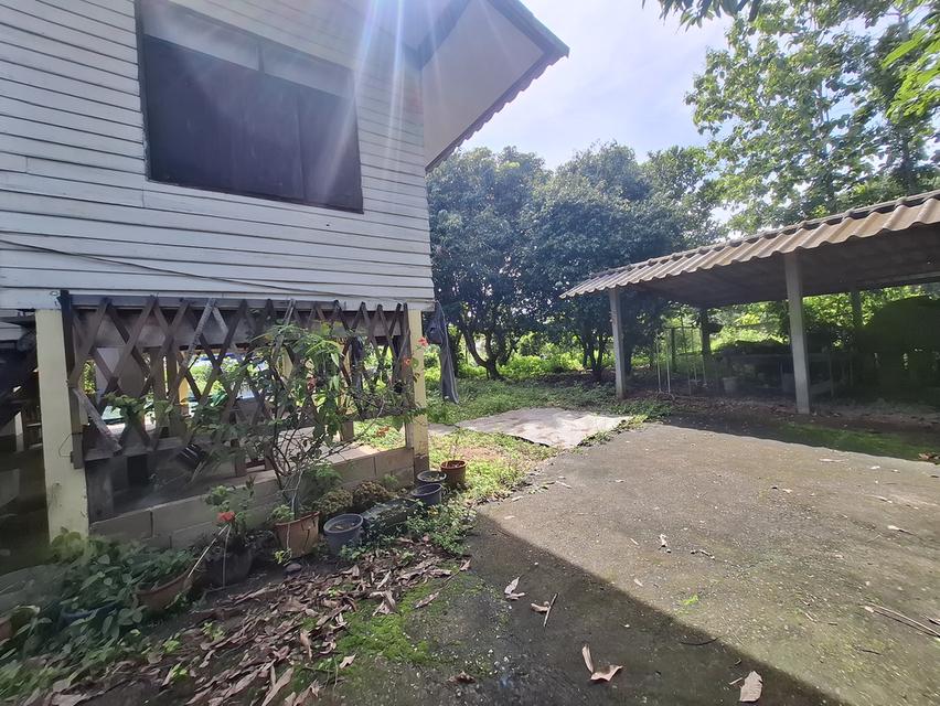 ขายบ้านพร้อมที่ดินฉโหนดพร้อมโอน 5